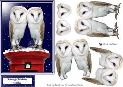 Barn Owl Pair Christmas Post Box 3D Decoupage