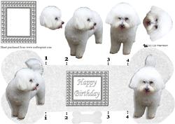 Bichon Frise 3D Decoupage Bone Shaped Card