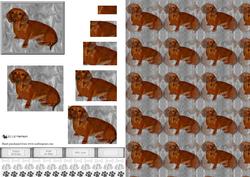 Dachshund Pyramid with Background