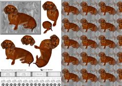 Dachshund 3D Decoupage with Background