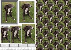 Whippet Scene Pyramid with Background