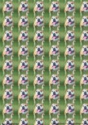 Happy Bulldog Background