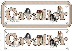 Cavalier King Charles Spaniel Name Sign