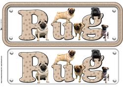 Pug Dog Name Sign