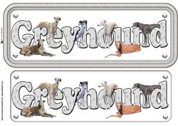 Greyhound Name Sign