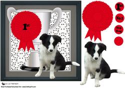 Border Collie Trophy and Rosette 8x8 Card