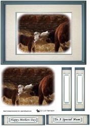 Hereford Cow & Calf Topper Sheet