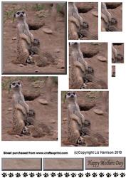 Meerkat Mum & Babies Pyramid