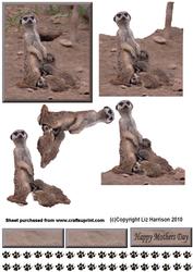 Meerkat Mum & Babies 3D Decoupage