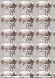Pig Mum & Piglet Background