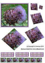 Bee on Scottish Thistle Twisted Pyramid