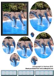 Dolphins Oval Pyramid