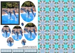 Dolphins Oval Pyramid with Background