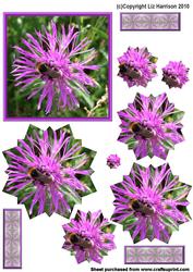 Bee Flower Pyramid