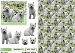 Westie Pair Scene 3D Decoupage & Background