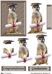 Meerkat Graduation 3D Decoupage