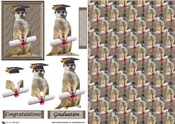 Meerkat Graduation 3D Decoupage & Background