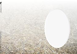 Straw Insert Sheet