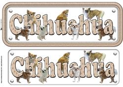 Chihuahua Name Sign