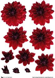 Dahlia Deep Red 3D Decoupage