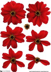Dahlia Red 3D Decoupage