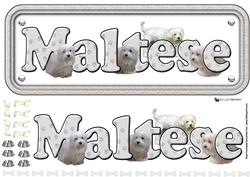 Maltese Terrier Name Sign 3D Decoupage