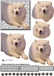 Samoyed 3D Decoupage
