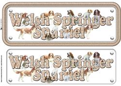 Welsh Springer Spaniel Name Sign