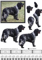 Blue Roan Cocker Spaniel 3D Decoupage