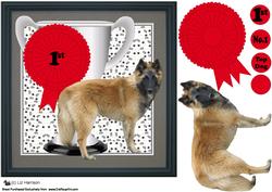 Belgian Shepherd Dog (tervueren) Trophy & Rosette 8x8 Card