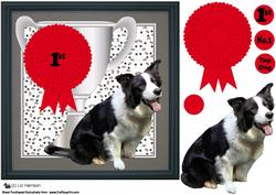 Border Collie Trophy & Rosette 8x8 Card