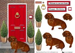 Dachshund with a Red Door