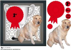 Golden Retriever Trophy & Rosette 8x8 Card