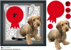 Dachshund,wirehaired,trophy & Rosette 8x8 Card