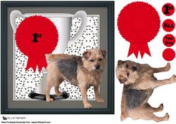 Norfolk Terrier Trophy & Rosette 8x8 Card