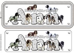 Ann & Springer Spaniel Name Sign