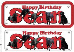 Sean & Labrador Name Sign