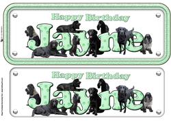 Jayne,spaniels & Labradors Name Sign