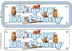 Ginger Cat Happy Birthday Blue Sign