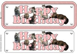 Tabby Cat Happy Birthday Pink Sign