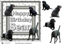 Sean Birrthday and Black labradors 3D Decoupage
