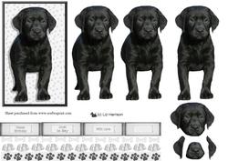 Black Labrador Puppy 3D Decoupage