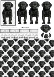 Black Labrador Puppy 3D Decoupage with Background