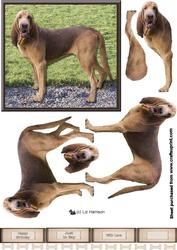 Bloodhound 3D Decoupage