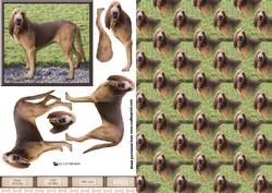 Bloodhound 3D Decoupage with Background