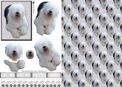 Old English Sheepdog Laid 3D Decoupage with Background
