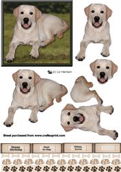Golden Labrador 3D Decoupage