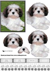 Lhasa Apso Puppy 3D Decoupage