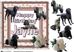 Happy Birthday Jayne with Dogs