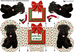 Cesky Terrier Christmas Bone Shaped Card